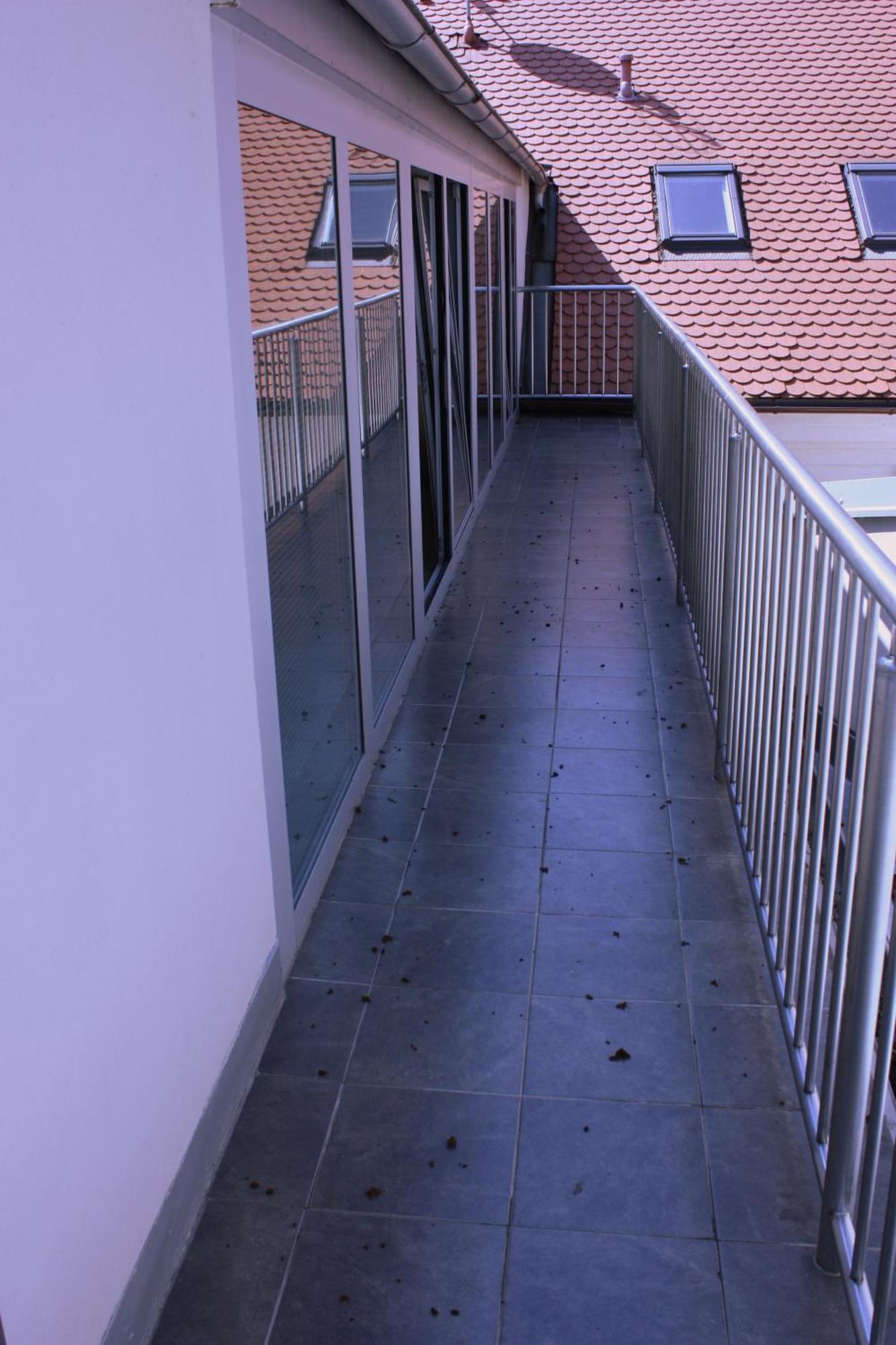Penzion a CaféRestaurant U lávky Chrudim Exterior foto